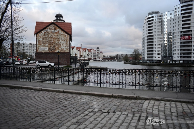 Улица Калининграда