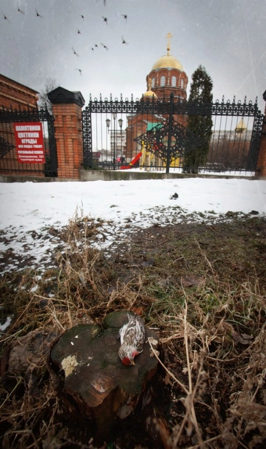 In article c409fe4f45