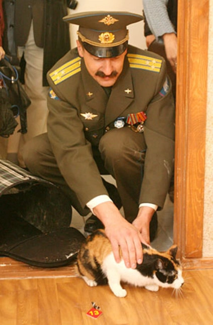 In article 8389aaec13