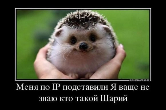 In article 0e6fb0397c