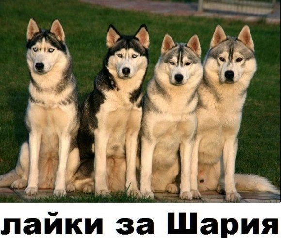 In article b2e2ebeb5c