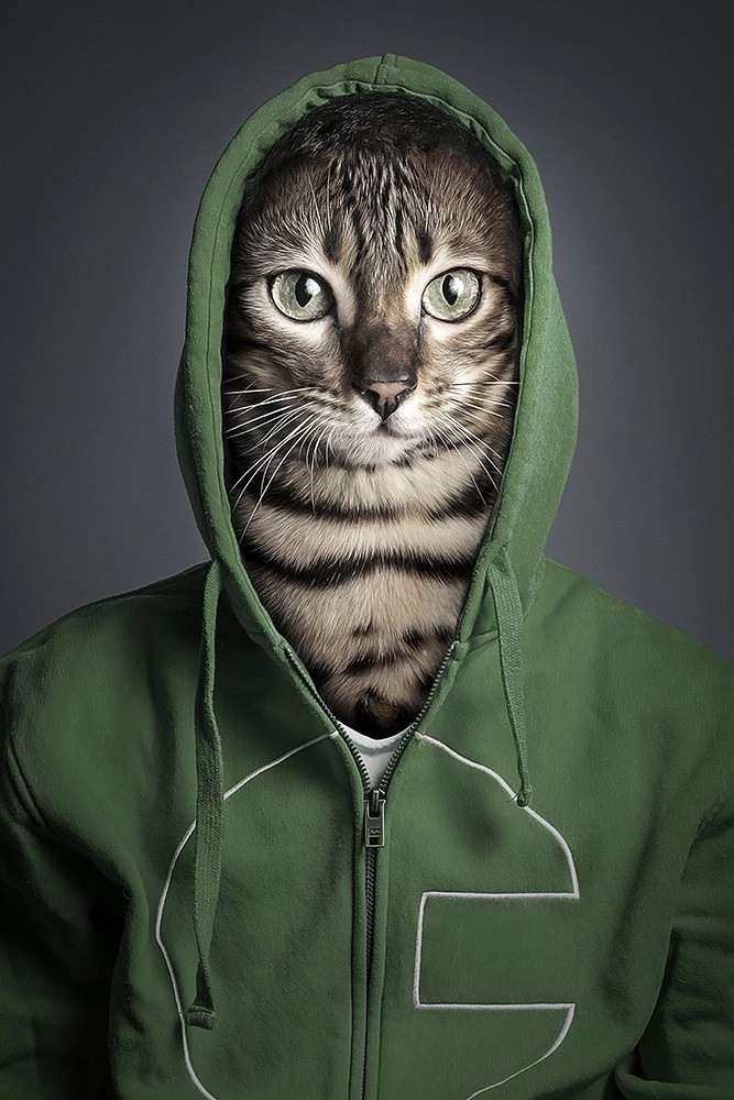 In article 68e7c8544b