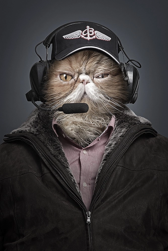 In article 30c418cd5f