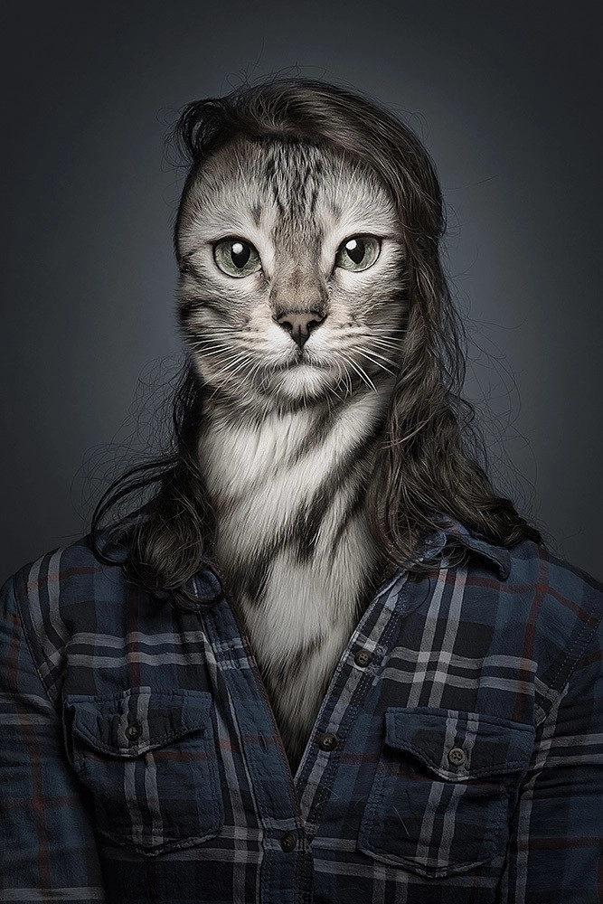 In article 9e838494c3