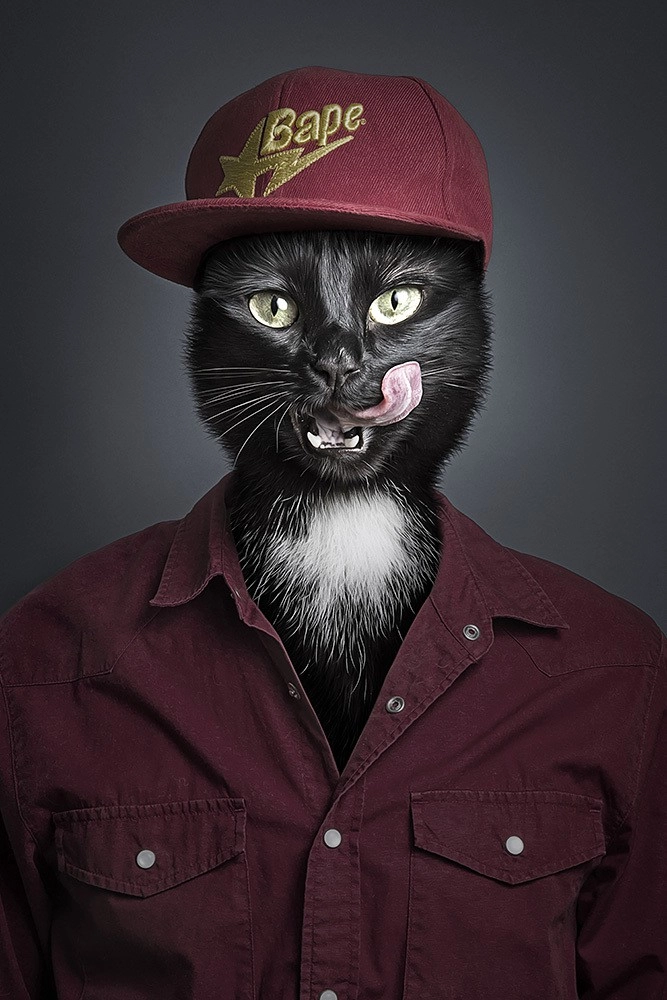 In article 8af6abeefb