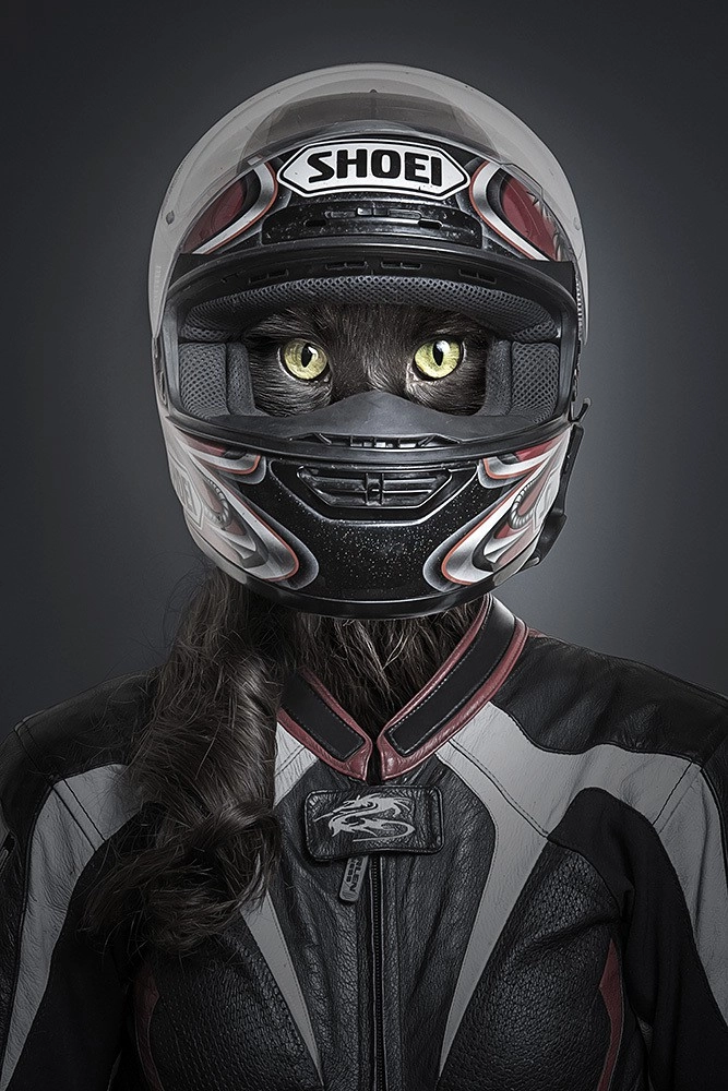 In article 897ccfc624