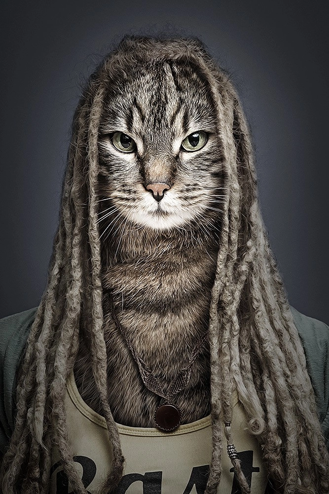 In article 89314c91b7