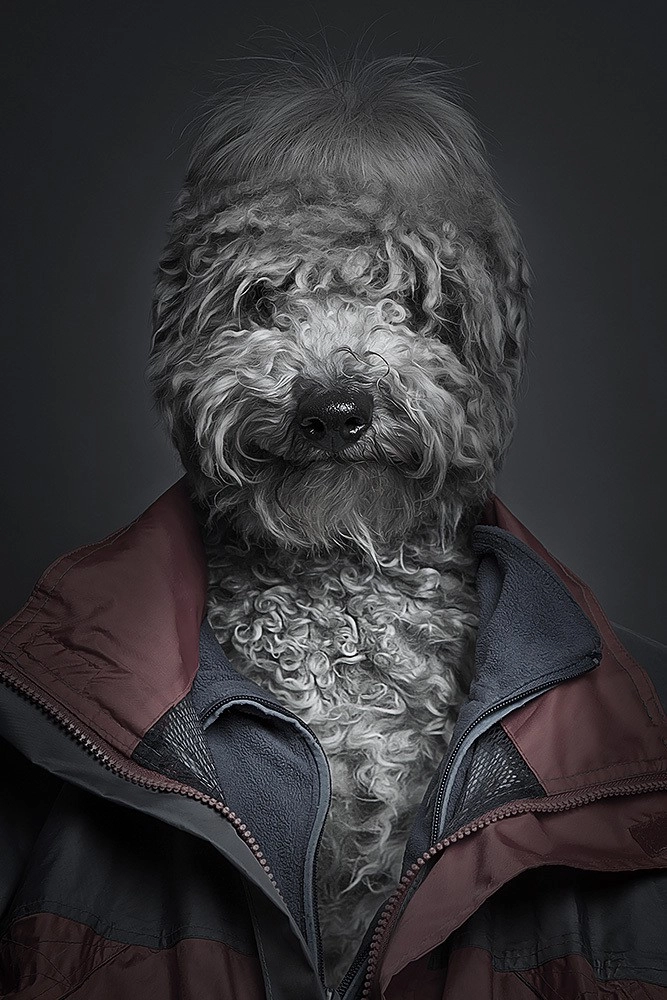 In article 2a9d4a0eb6