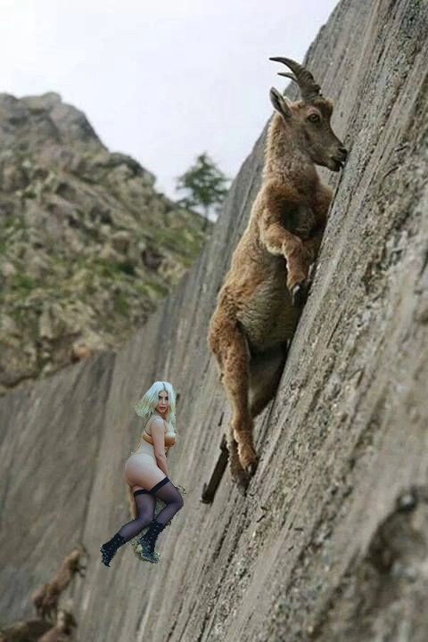 In article 98489952ed