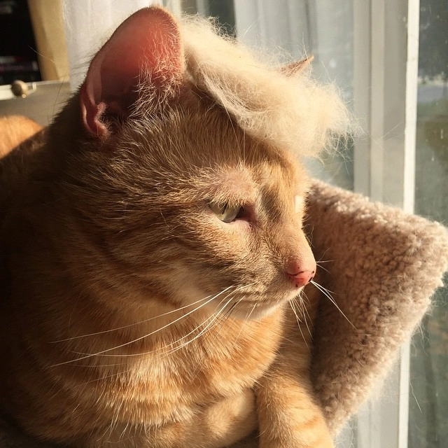 In article 9ed43507db