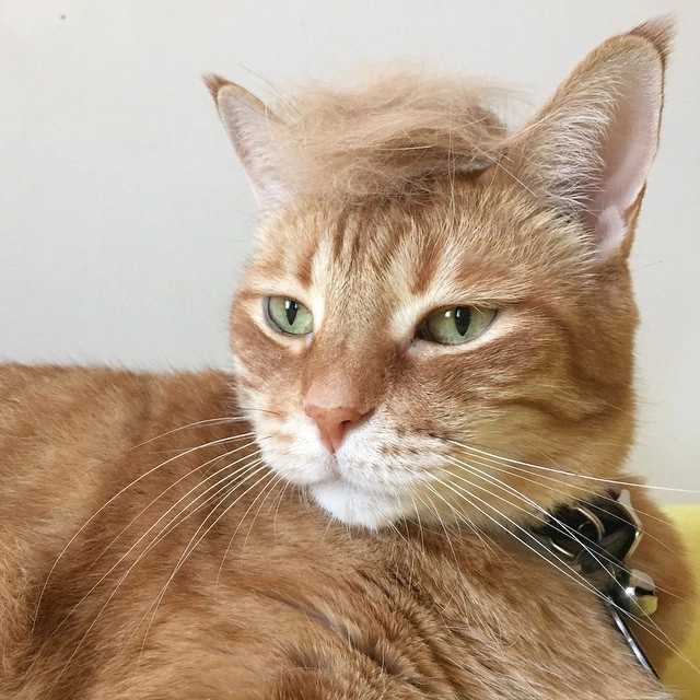 In article da2b665561