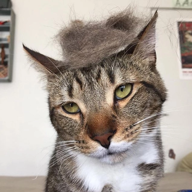 In article 67b1319145