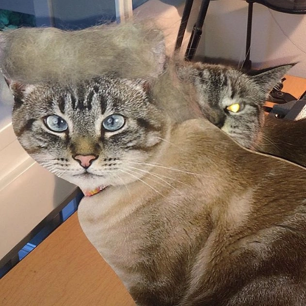 In article 26ebd328f2