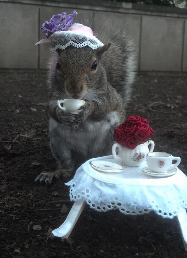 In article 211be68ac0