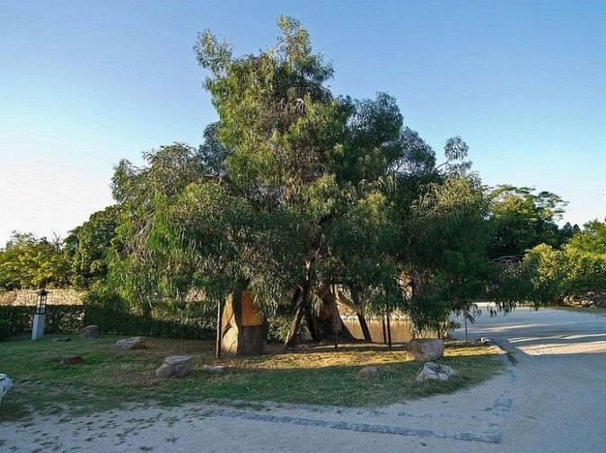 Хиросима сегодня