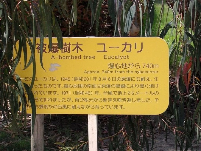 Хиросима сегодня