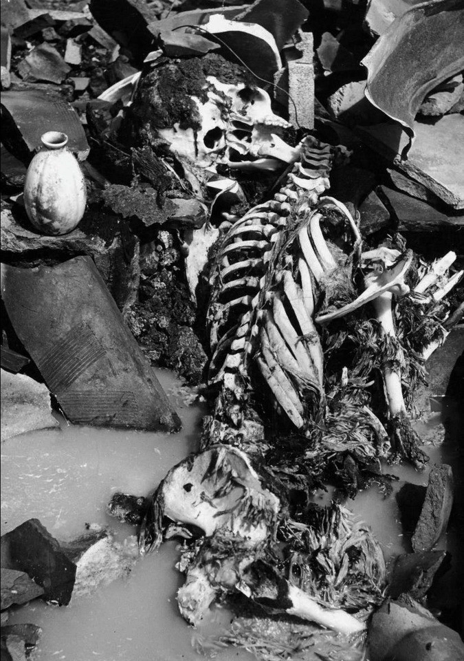 Останки в руинах дома, около 1200 метров от эпицентра.