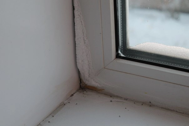 In article b3a38475ee