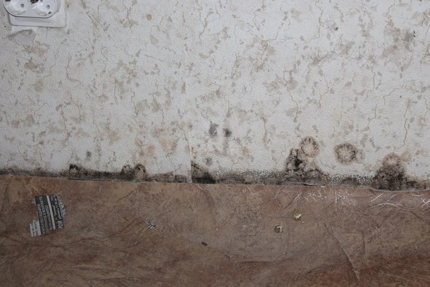 In article d9c5b6033a