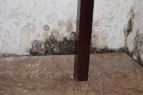 In article d6c2c35e8f