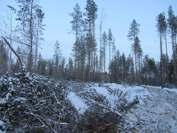 In article 6f46c7f13f