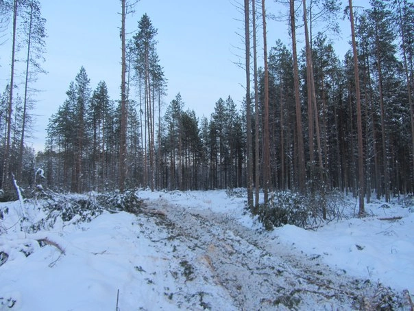 In article bfcaa442c6