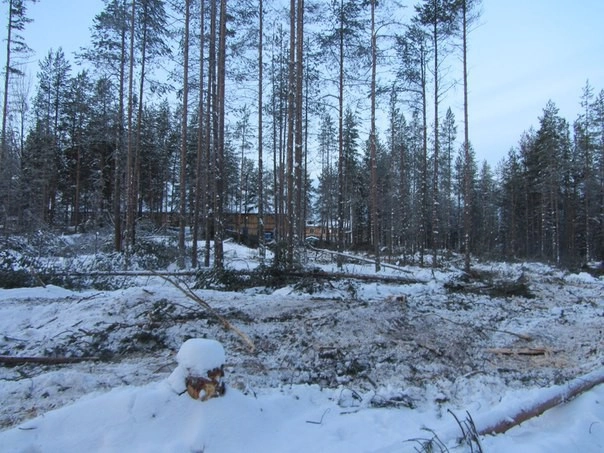 In article 40cf9e145b