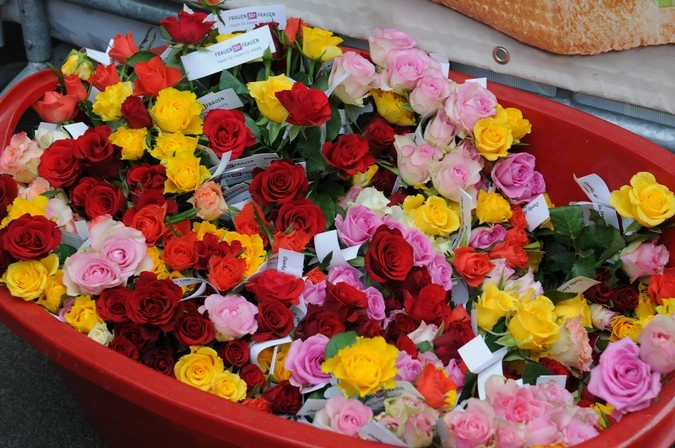 © Елена Сафонова