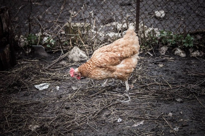 В доме Анаса Юнусовича