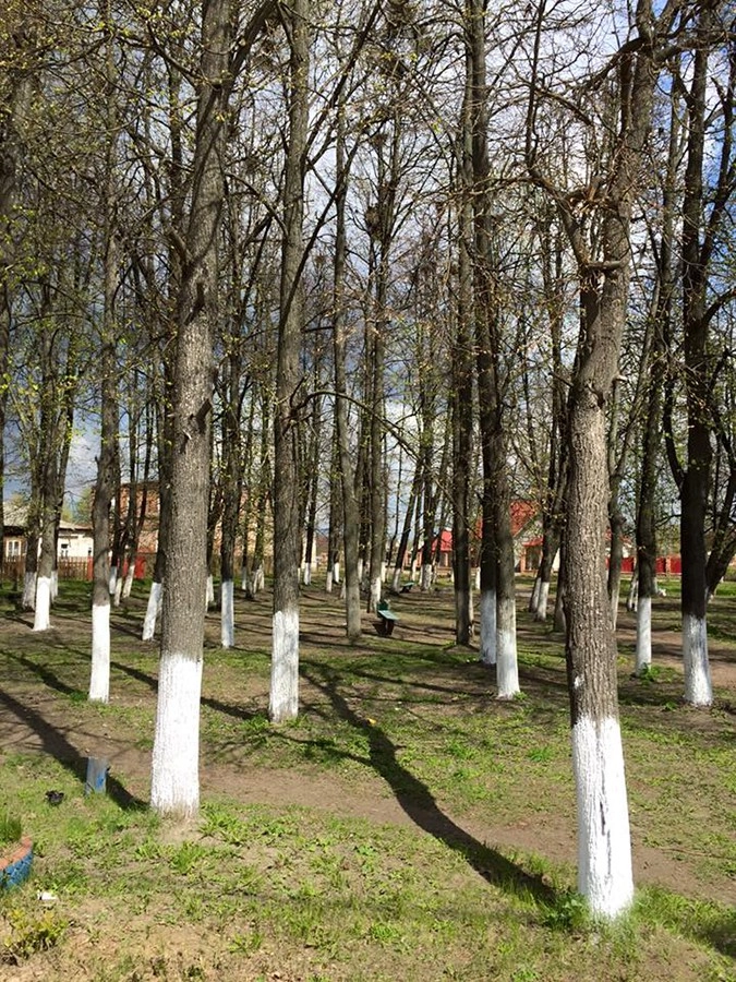 In article ed3ec715d9