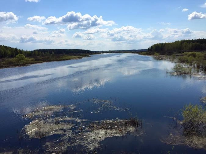 Мещерские леса и озера по дороге на Туму и Касимов.