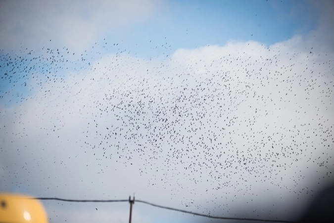 Фото: Нафиева Анна | Ridus.ru