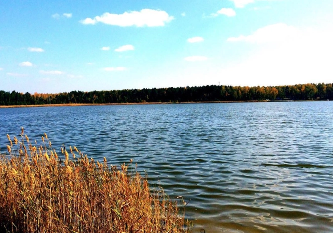 Озеро русские песни. Озеро сладкое. Озеро сладкое Челябинская область. Озеро сладкое Казахстан. Фото озера сладкого.