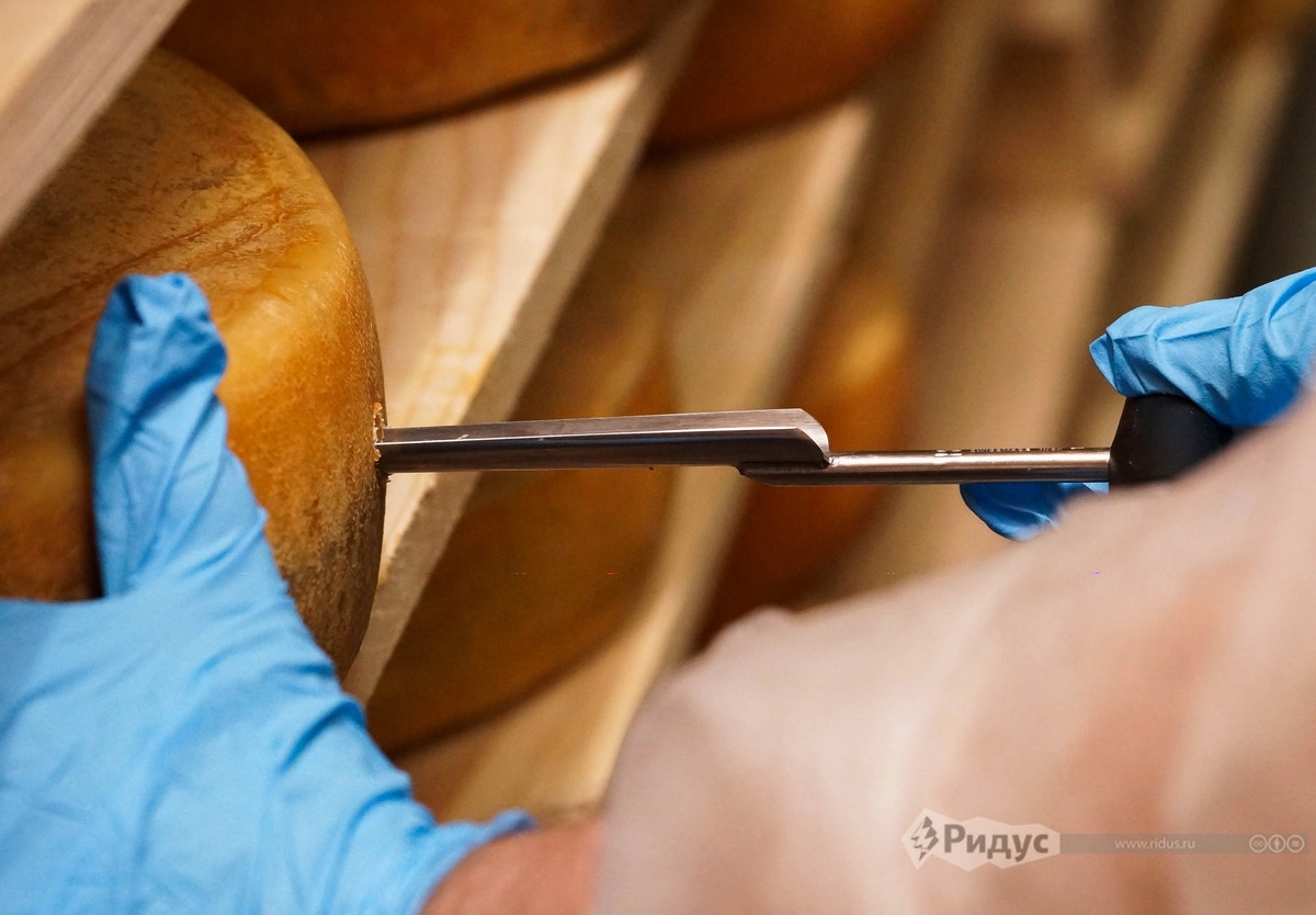 Также важно знать, каков созревающий сыр внутри 