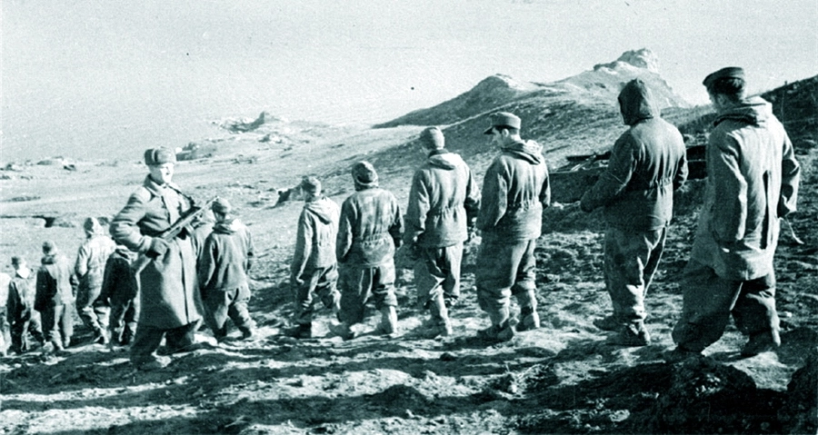 Колонна пленных немцев в Крыму