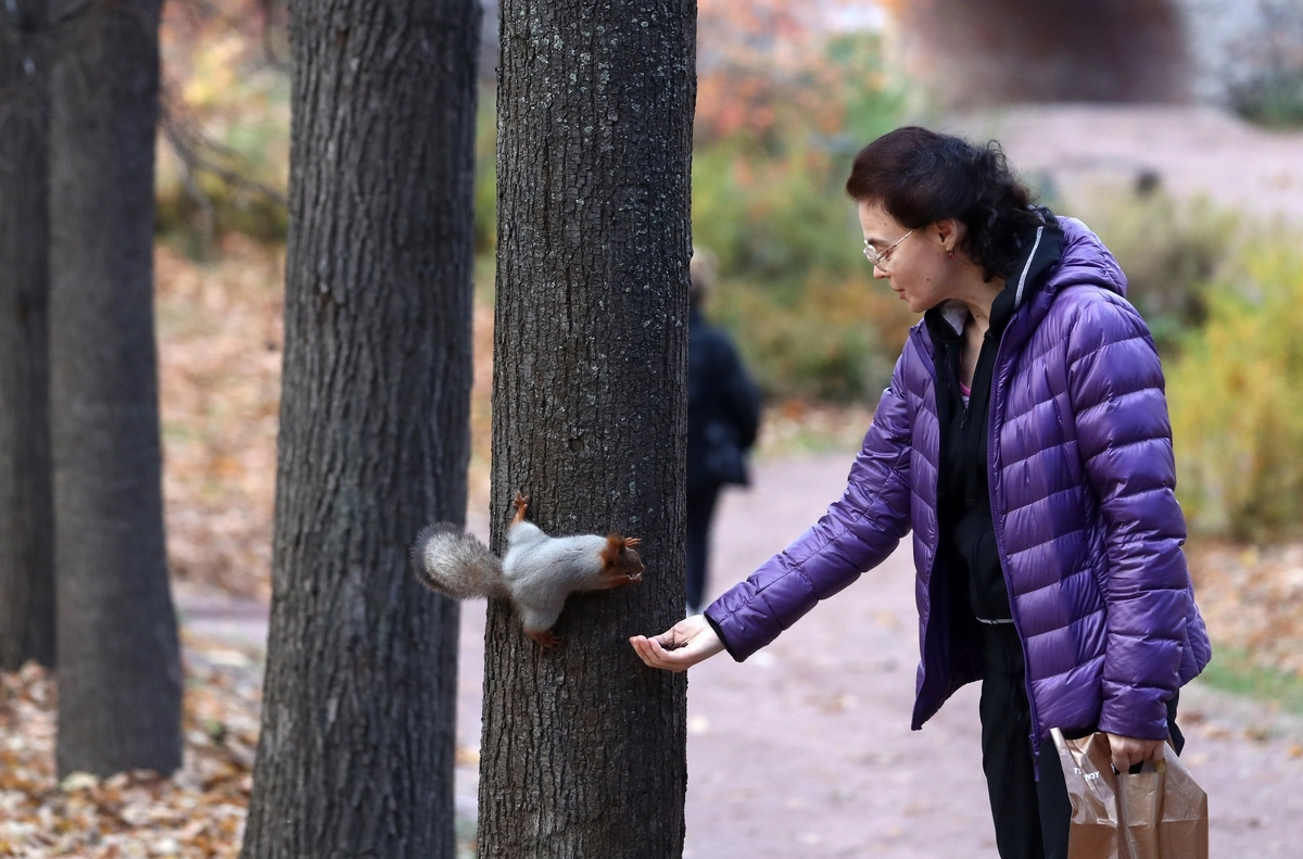 Аномальная жара. Синоптики пообещали. Синоптики пообещали. Синоптики пообещали. Зонт фото.