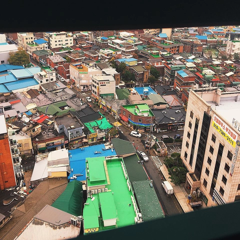 Сеул обыкновенный 