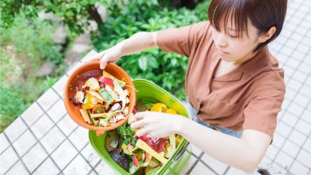 Компост можно делать даже в квартире