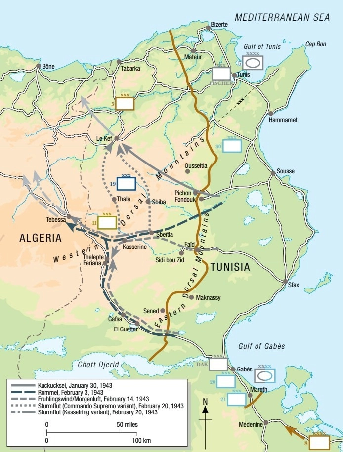 Предполагаемые направления ударов немецких войск в феврале 1943 года Zaloga S. Kasserine Pass 1943: Rommel’s last victory. Campaign 152. — Oxford: Osprey, 2005