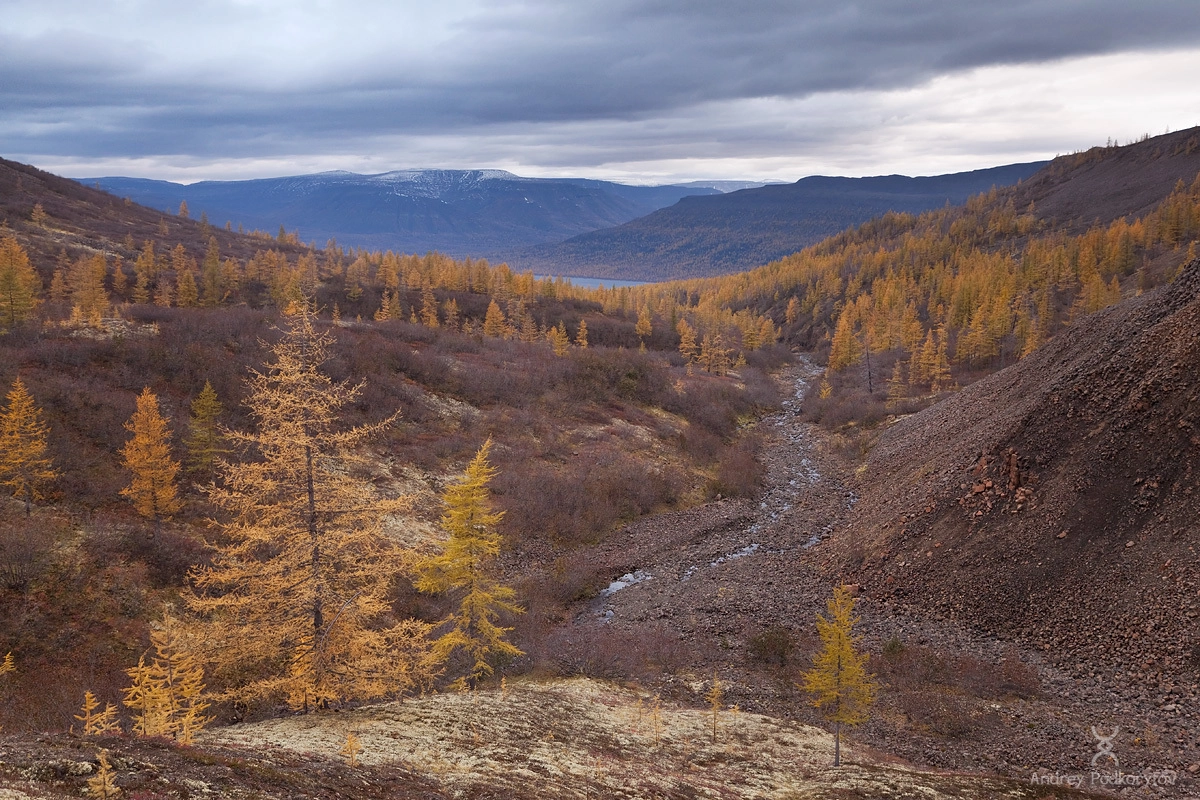 Озеро Накомякен. Плато Путорана. Озеро Накомякен. Плато Путорана.