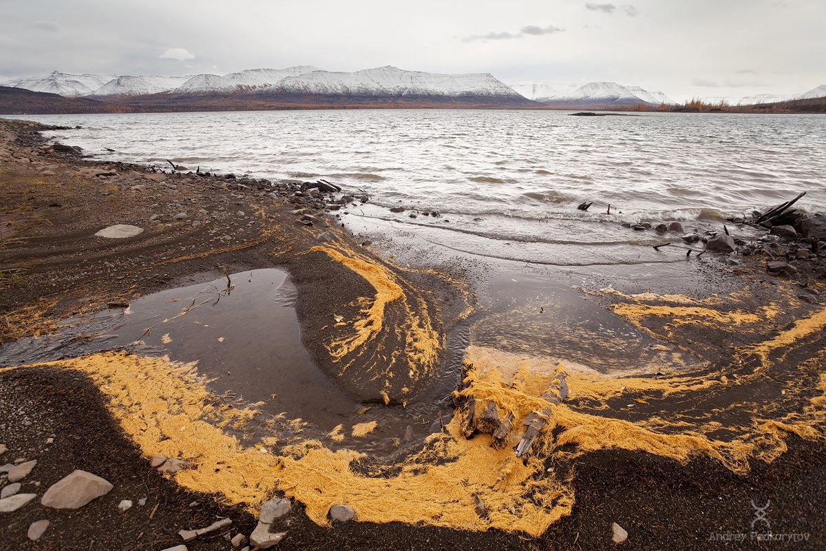 Озеро Глубокое. Плато Путорана. Озеро Глубокое. Плато Путорана.