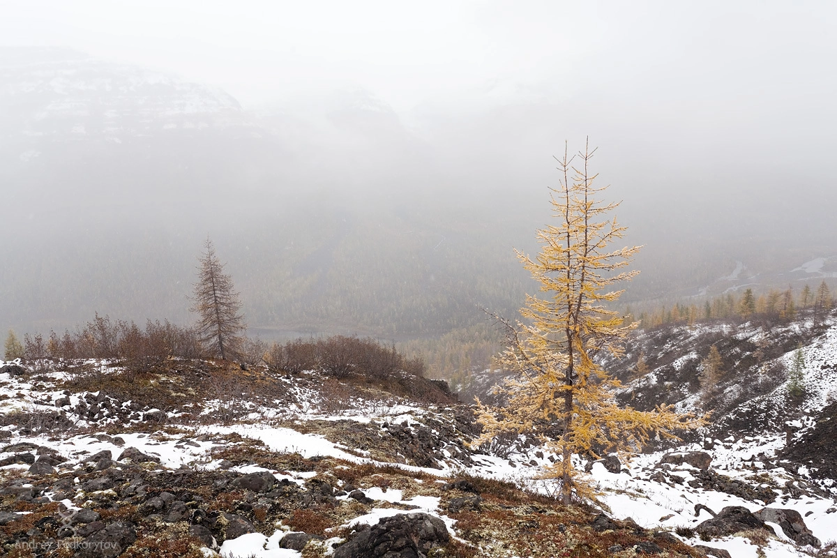 Долина реки Иркинда. Плато Путорана. Долина реки Иркинда. Плато Путорана.