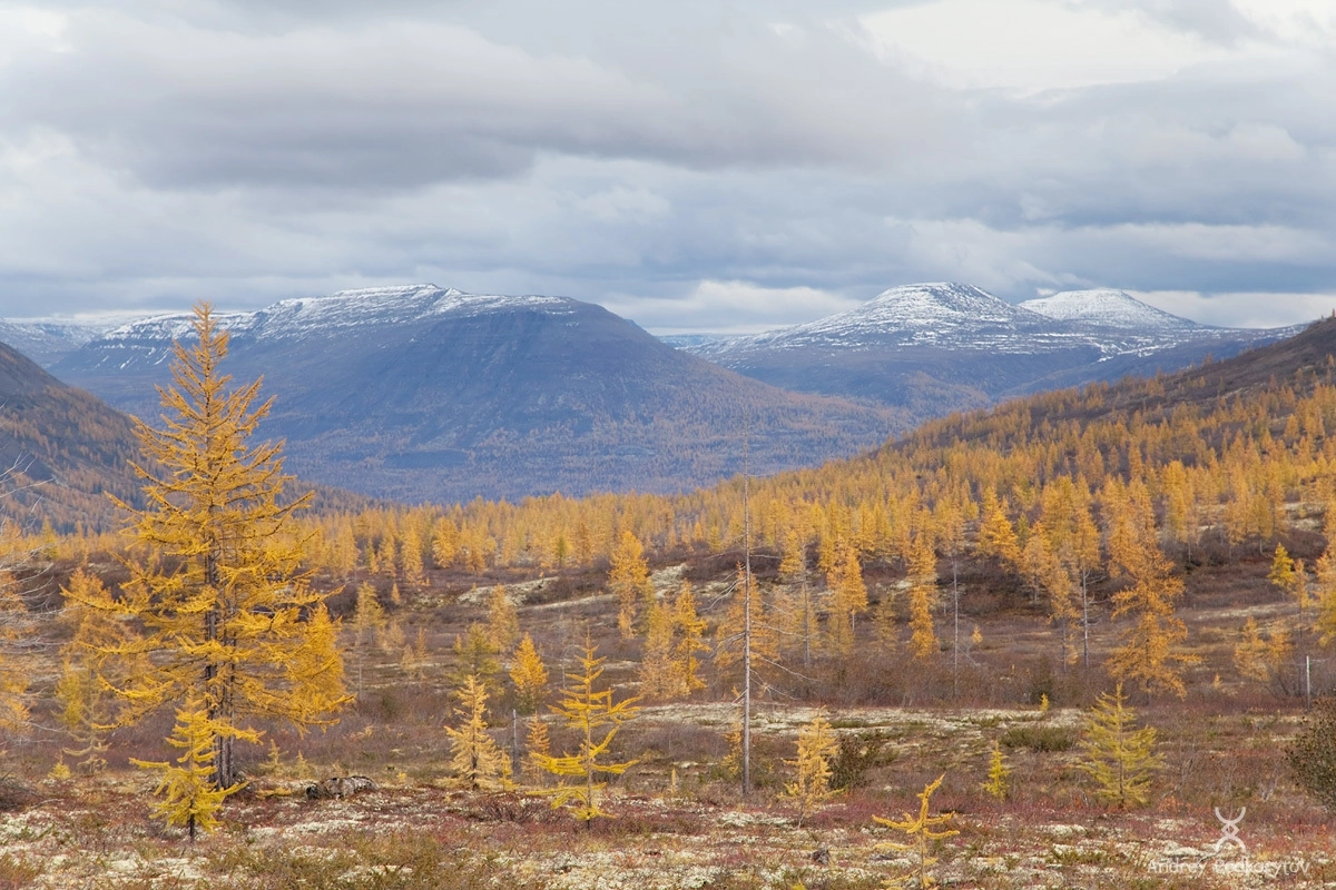 Долина реки Токингда. Плато Путорана. Долина реки Токингда. Плато Путорана.