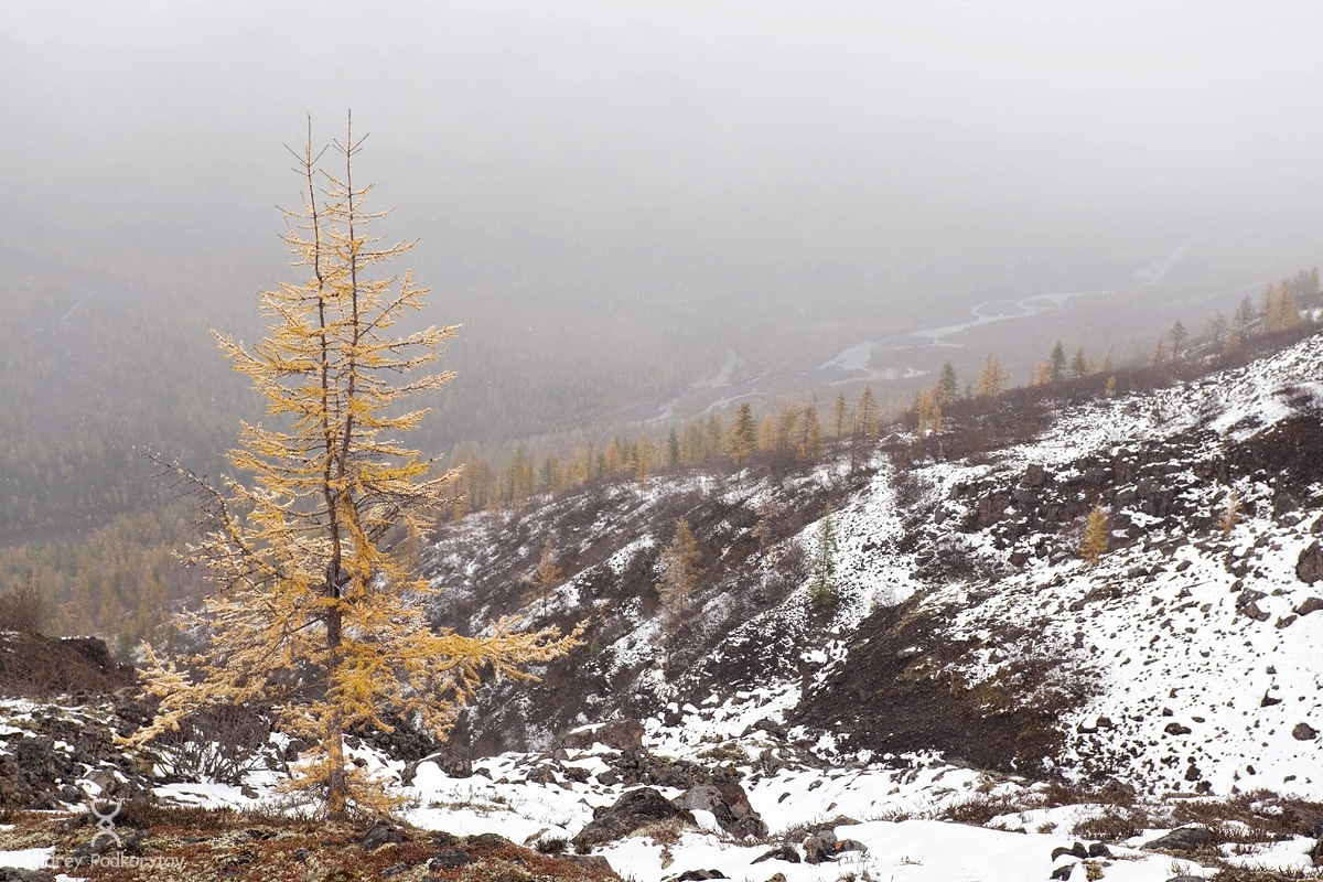 Долина реки Иркинда. Плато Путорана.