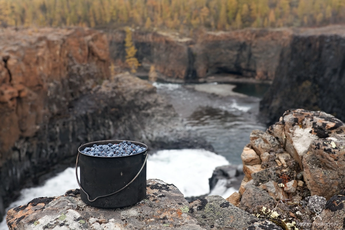 Голубика, река Иркинда, слив Большого Иркиндинского водопада. Плато Путорана.
