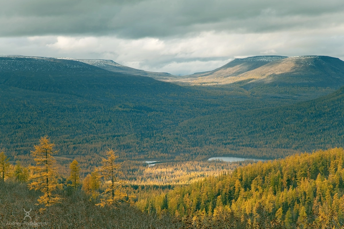 Долина реки Токингда. Плато Путорана.