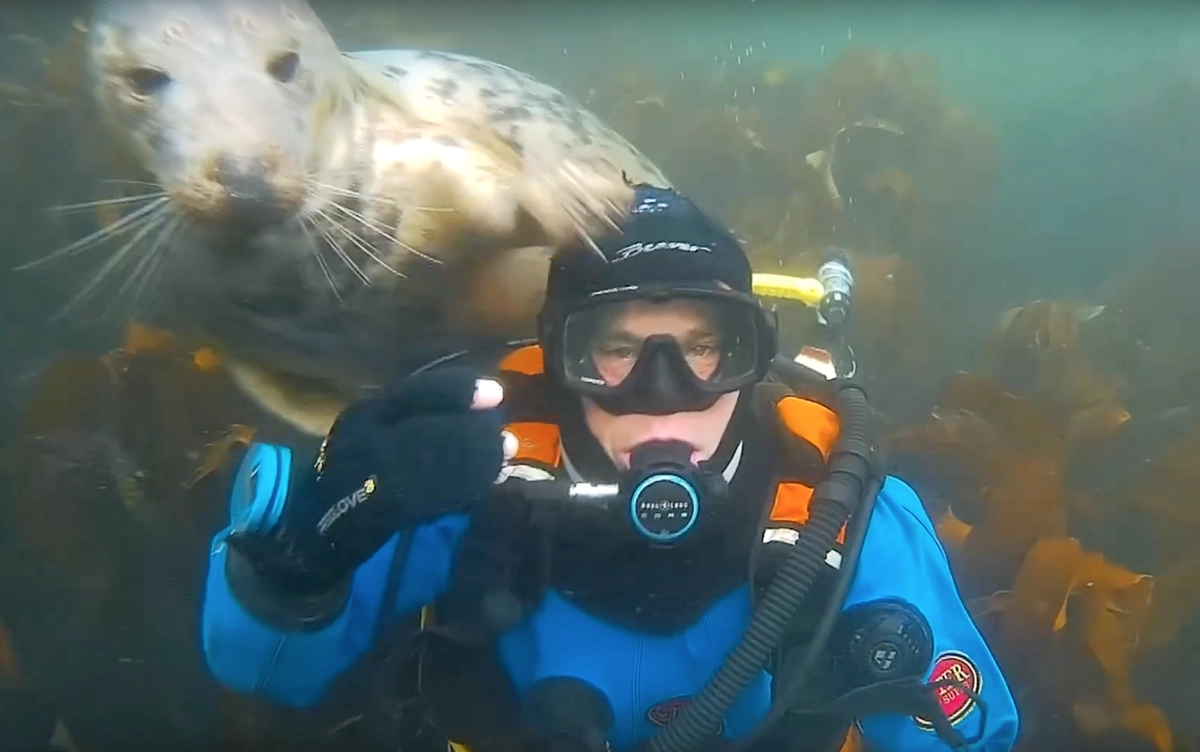 Медитационные практики как средство укрепления психического здоровья