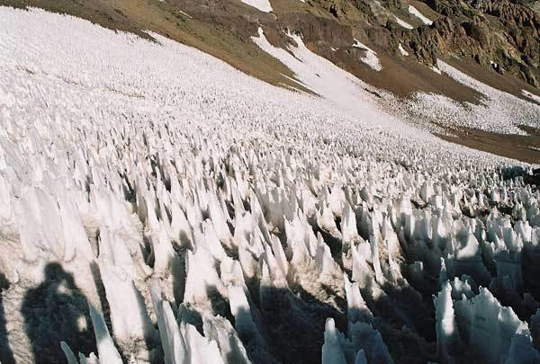 Кальгаспоры на склоне Аконкагуа (Аргентина)