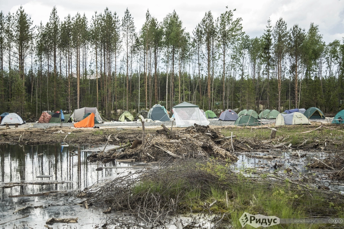 Лагерь природозащитников. 