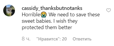 (Ужасно. Нам нужно спасти этих славных малышей. Я надеюсь, они защитят их лучше.